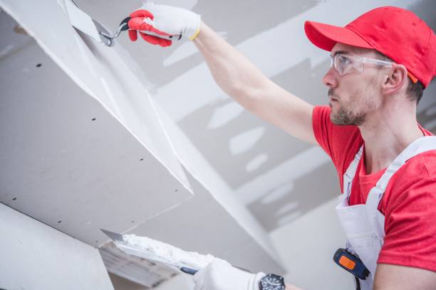 Best Drywall Patching  in Madison, NJ